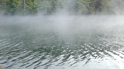 fast moving fog over lake in morning - Powered by Adobe