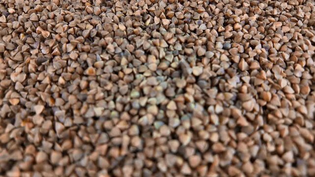 Close-up of buckwheat groats