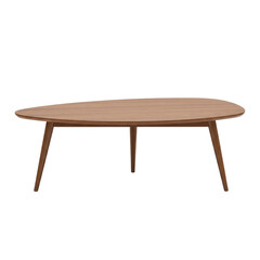 Mid-century modern wooden coffee table