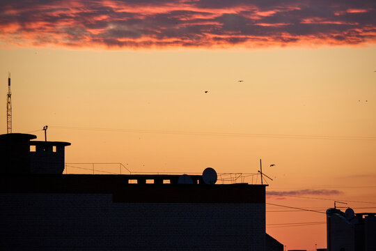 Silhouette of a Building with Antennas and Satellite Dishes Against a Vibrant Sunset Sky with Pink Clouds and Birds Flying Around, creating a sense of tranquility and urban landscape .