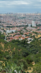 Panoramic View Over Barcelona: Capturing the Intricate Tapestry of Urban Development, Lush Greenery, and Rolling Hills from a Scenic Overlook