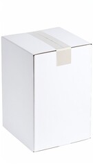 Blank white cardboard box