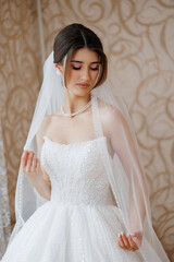 Stunning bride in elegant wedding dress poses gracefully with her veil indoors