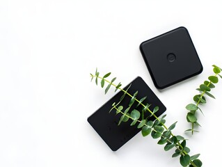 Stock photo of black wireless charger pad with eucalyptus leaves on white background