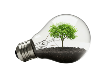 Isolated Light Bulb with a Tree Inside - Eco-Friendly Ideas and Sustainability