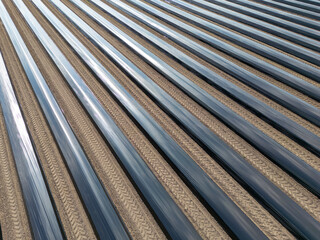 Frisch angelegtes Spargelfeld mit Folie