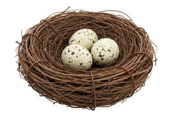 Obraz premium Isolated Natural Bird Nest with Speckled Eggs