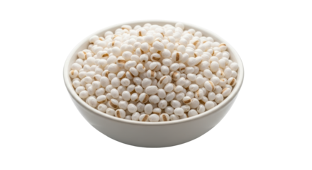 Isolated Bowl of Job's Tears (Hato Mugi)