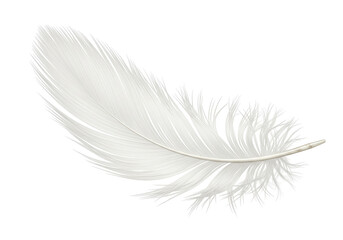 Obraz premium Isolated Delicate White Feather Light Plume Beauty