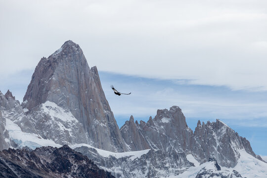 Snowy mountain peaks and birds (condors) - Powered by Adobe