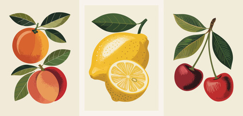 Stylized illustration of citrus fruits and cherries with green leaves on a neutral background