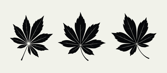 Obraz premium Three black silhouette cannabis leaves on a light neutral background