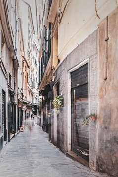 The High Sided Alleyways Of Caruggi ( Old Town ) In Genoa, Italy