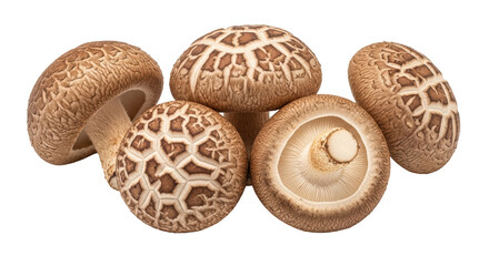 Isolated Shiitake Mushrooms