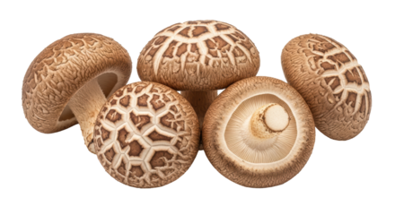 Isolated Shiitake Mushrooms