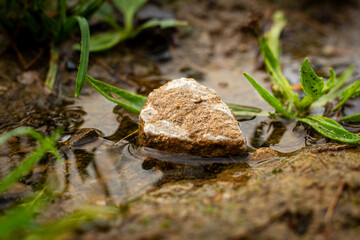 mini stone in water with mini leafs