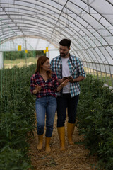 Discussing farming techniques inside greenhouse with soft sunlight