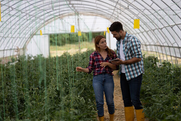 Discussing farming techniques inside greenhouse with soft sunlight