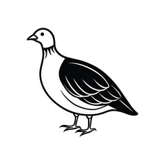 Fototapeta premium A partridge line art silhouette vector illustration on white background
