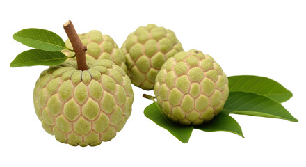 Isolated Custard Apples with Green Leaves