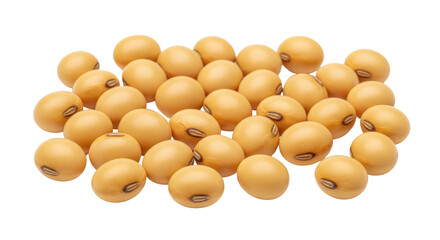 Isolated Pile of Soybeans