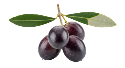 Isolated Olives
