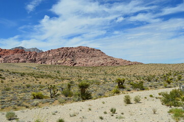 arizona desert landscape