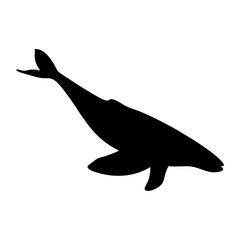 vector silhouette of a humpback whale simple illustration