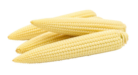 Isolated Baby Corn