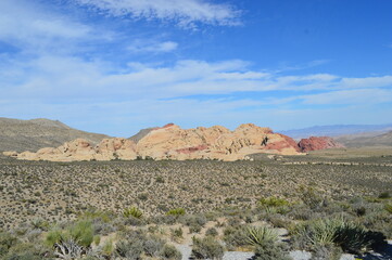 arizona desert landscape