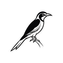 A bee-eater line art silhouette vector illustration on white background