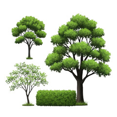 Collection of lush green trees and a manicured hedge isolated on transparent background