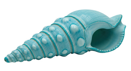 Isolated Sea Shell