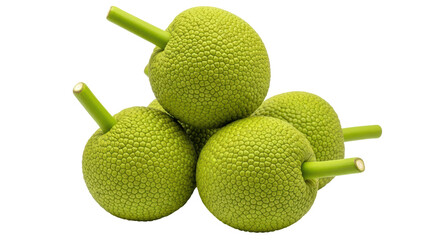 Isolated Pile of Jackfruit