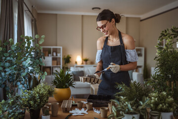 woman gardener florist cultivate and transplantation plants at home