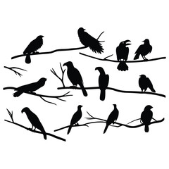 Fototapeta premium Silhouette of birds on branches vector illustration black and white design