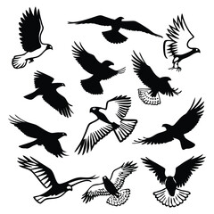 Collection of Black and White Eagle Silhouettes in Various Flying Positions