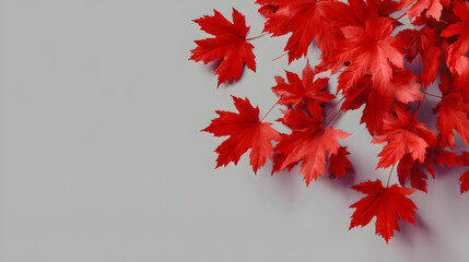 Red Maple Leaves on Gray Background