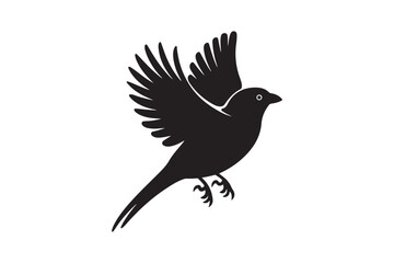 Silhouette of a bird in mid flight with wings spread wide