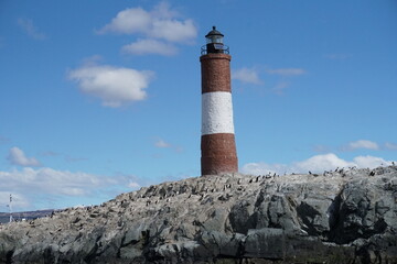 Walrus, Seal, Penguin Wildlife Tour Ushuaia, Argentina 