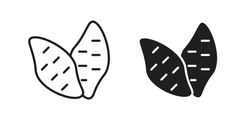 Sweet potato icon vector design. set web icons