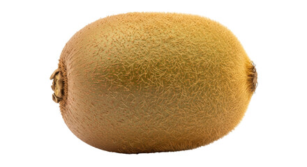 Isolated Single Kiwi Fruit