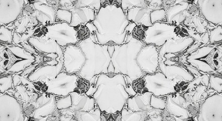 Abstract grayscale symmetrical pattern, intricate swirling design, mirrored kaleidoscope effect.