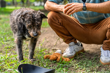 Volunteer crouching near a mixed breed dog with its toy and a pooper scooper in a park