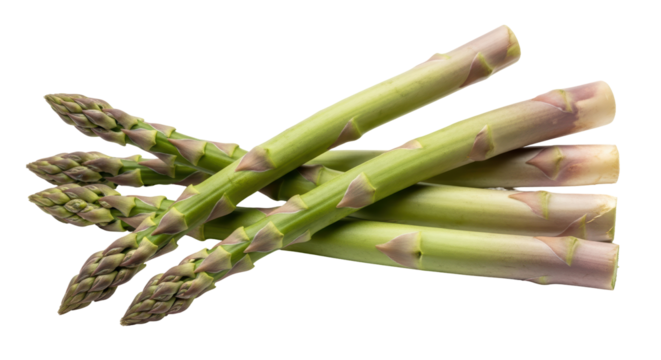 Isolated Asparagus Spears, Fresh Green