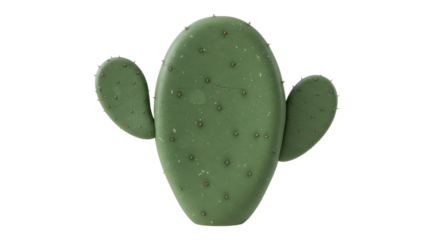 Isolated Green Cactus