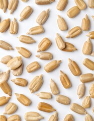 Sunflower seeds on a white backdrop. 