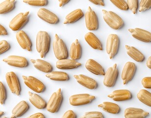 Obraz premium Sunflower seeds on a white backdrop. 