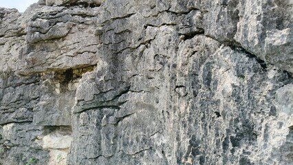 coral rock wall texture background