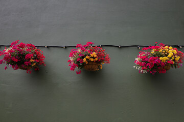  Tres cestas ornamentales con flores naturales, colgadas en una pared